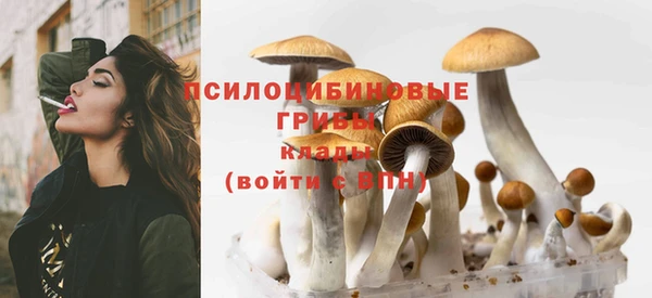 прущая мука Нягань