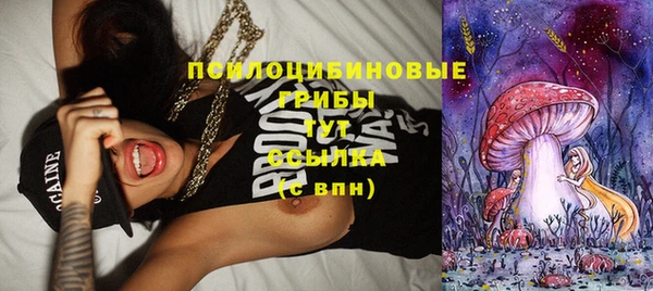 spice Нязепетровск