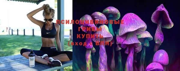 прущая мука Нягань
