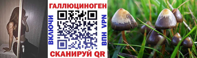 Галлюциногенные грибы мухоморы  МЕГА вход  Покров 